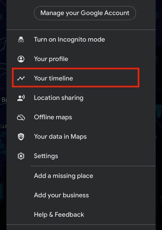 Profile menu with Timeline option highlighted